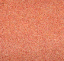 Ковролин Tapisom 600 Orange - 600 416002009 00010 фото 1 | FLOORDEALER